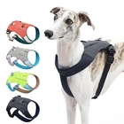 Chine Ensemble de harnais de luxe personnalisé pour chien, réglable, sans traction, robuste, avec Logo imprimé, harnais de sécurité pour animaux de compagnie, sac à dos d'emballage fabricant