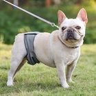 China Antibakterielle wiederverwendbare waschbare absorbierende wasserdichte männliche Haustierhund-Bauchbänder Windel-Hosen Hersteller