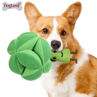 Chine Brocoli jouet à billes de chien de chien fabricant