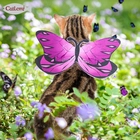 China Schmetterlingsdesign Katze Cosplay Kostüm Hollaween Party Puppy Dog Haustier Katze Kleid Weste Kleidung Hersteller
