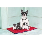 Chine Grand chien double face utilisateur extérieur chien pad fabricant
