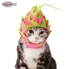 porcelana Sombrero de mascota dragón fabricante