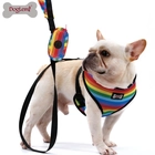 porcelana Correa del arnés del animal doméstico del arco iris fabricante