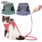 porcelana Tapa de pata de gato de hierba modelo Tang fabricante