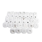 China AU UK EU US FR BR Standard Smart Home Wifi Stecker Fernbedienung Drahtlose Schalter Wand PC Kunststoff Buchse Stecker gehäuse mit Alexa Google Hersteller