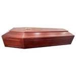 Trung Quốc Wholesale European Style Paulownia Solid Wood Coffin Cheap Adult Funeral Urn for Ashes Memorial Brass Product - COPY - bji57n nhà chế tạo