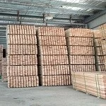 China China cedar lumber/ Garden fence panel manufacturer