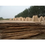 China coffin boards manufacturer