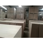 Cina FSC bordo Paulownia elongata incollato legname dalla Cina produttore