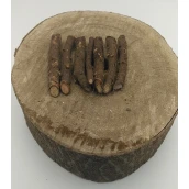 China 2025 frischer Paulownia Hybrid 9501 Wurzelsamen zum Verkauf Hersteller