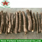 Chine Hybrid 9501 paulownia roots cutting for planting fabricant