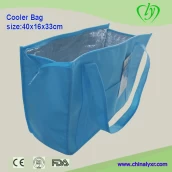 China Non-woven Cooler Lunch bag manufacturer
