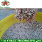 China 100% pure Paulownia seed hybrid 9501 manufacturer