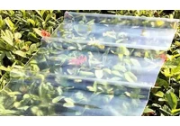 Les panneaux de toit en plastique ondulé transparent sont-ils décoratifs ?