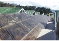 ¿Cuáles son los requisitos para las tejas en la construcción de un invernadero en una villa?