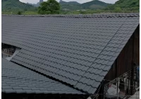 As telhas de plástico ZXC podem ser de cores diferentes de acordo com suas necessidades
