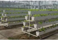 Quais são os usos das calhas de chuva para o cultivo de plantas?