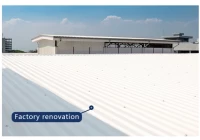 Tuiles de toit en PVC ZXC - Choisissez la qualité et la confiance