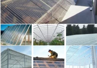 Strategic Partnership to Expand Global Supply of Corrugated Clear Roofing Sheets Strategic Partnership to Expand Global Supply of Corrugated Clear Roofing Sheets