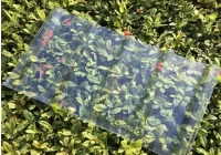 China's Clear Corrugated Roofing Sheets Gain Global Traction - ZXC Offers Custom Solutions China's Clear Corrugated Roofing Sheets Gain Global Traction - ZXC Offers Custom Solutions