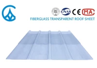 Pourquoi les constructeurs choisissent ZXC pour des solutions de toiture en fibre de verre haute performance Pourquoi les constructeurs choisissent ZXC pour des solutions de toiture en fibre de verre haute performance