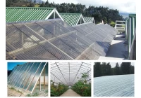 Ingegneria futures sostenibile con soluzioni di copertura traslucida ad alte prestazioni Ingegneria futures sostenibile con soluzioni di copertura traslucida ad alte prestazioni