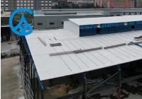 Xác định lại độ bền của mái nhà: Tấm lợp PVC/ASA bảo hành 30 năm