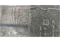 What are the differences between heat strengthened glass, fully tempered glass, and heat-soaked glass?