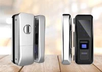 Sblocca il futuro con la nostra serratura per porta in vetro con impronta digitale e telecomando con scheda RFID con codice digitale