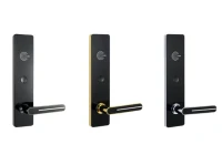 Innovating Access: The Digital Transformation of Hotel Security Systems