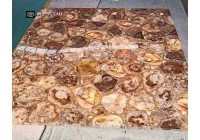 For hundreds of millions of years, wood jade has turned into Petrified wood, have you ever seen it?