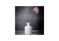 完全なディフューザー パッケージ: ボトルからスティックまで