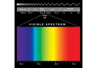 What Are Infrared Waves?