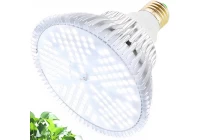 Vegetable growth light bulb: making your vegetables healthier and more delicious