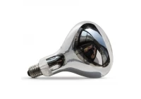 Introducing the Food Warmer Heater Lamp