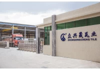 China About Our Company manufacturer