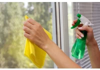 How to clean glass window and doors?