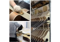 China 14 gemeinsame Holzarten in Gitarren Hersteller