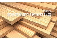 China Instructie voor gitaarhout fabrikant