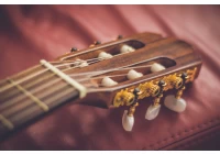 China Zen-on gitaardefinitie gemaakt in China fabrikant