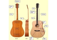 Cina Basic Guitar Vocabulary Guide for Beginners produttore