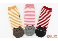 China How long can a pair of socks wear? manufacturer