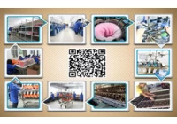 Cina Processo di produzione di calzini produttore