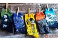China Goede manieren van opslag van sokken (3) fabrikant