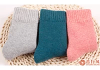 China Leuke serie wollen sokken fabrikant