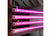 Sobre os recursos do LED Grow Light: