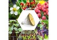 Efficient and energy-saving LED animal and plant growth lamp helps you build green agriculture