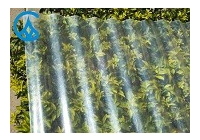Ventajas de las hojas de techo de policarbonato.