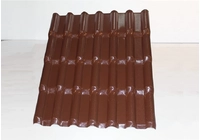 Enjoy the time - Luxury PVC/ASA roofing sheet
