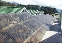 Why Custom Clear Corrugated Roofing Dominates Commercial Greenhouse Projects Worldwide?